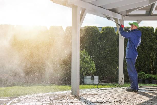 Best Dumpster Area Cleaning  in Tornillo, TX
