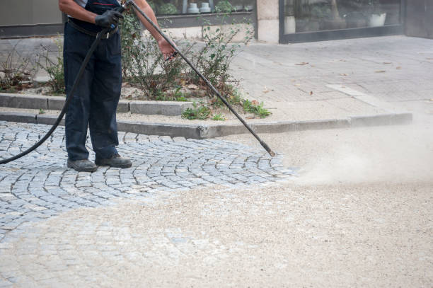 Best Sidewalk and Walkway Cleaning  in Tornillo, TX