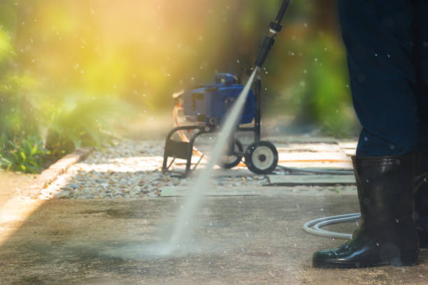 Best Solar Panel Cleaning  in Tornillo, TX